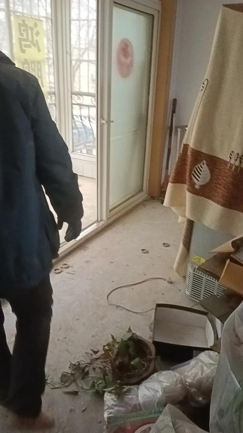 御苑公寓二手房拆除改造全记录 旧房翻新，从“拆”开始的新生
